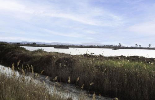 Apartment Port de la Gavine I-4 by Interhome - Foto 26