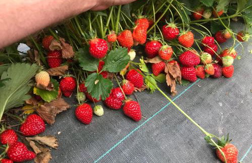 Le chant de la rivière en Berry - Foto 31