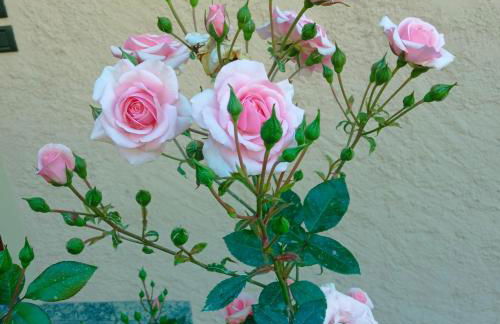 Las Tres Tajanas - Foto 16