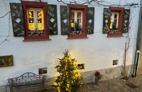 Phönix aus der Asche - Foto 45