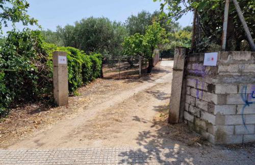 Stella's Garden - Foto 38