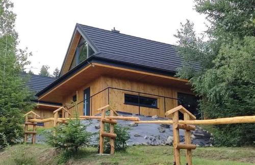 Domki Krynica - Foto 20