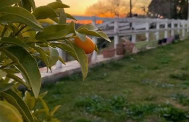 Villa Verde - Photo 14