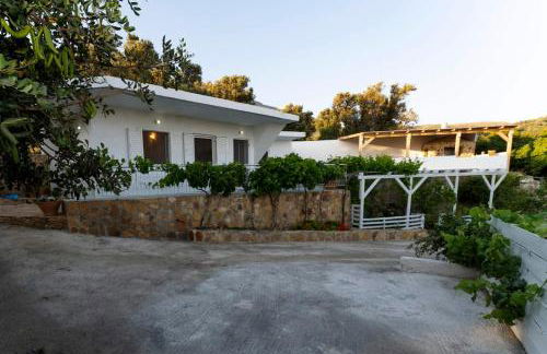 Mano's House - Foto 49