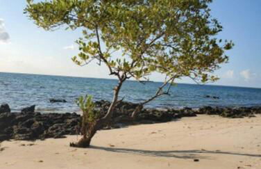 Paraíso Escondido Beach House! - Foto 21