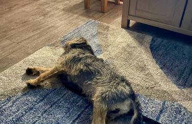 Room with a view - Foto 49