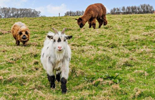 5 Bed in Ilfracombe oc-barlc - Photo 24