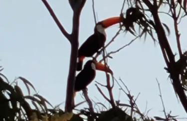 Lindo Sítio Estilo Moderno - Foto 67