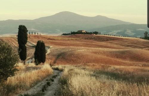 I Due Ciliegi - Foto 55