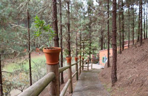 Casa Rural en medio del bosque, El Lance - Foto 38