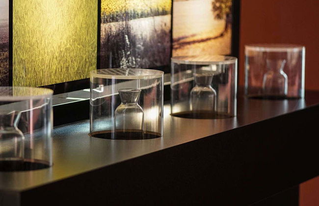 Biglietti per il Museo del Cerrato Castigliano - Foto 6