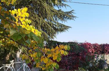 My Flowers - Foto 41