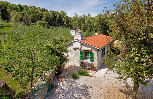 Roinizza in Prtlog (Haus für 4-5 Personen) - Foto 12