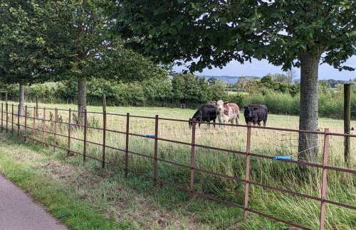 No1 The yard, Regilbury Court, Winford - Foto 15