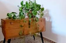 Maison Retrò Napoli - Foto 12