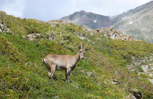 Appartement Capucine - Foto 9