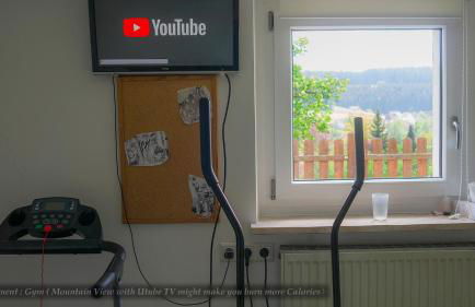 Entire House in Schwarzwald with mountain view, private Sauna, Gym, Garden and Terraces - Foto 39