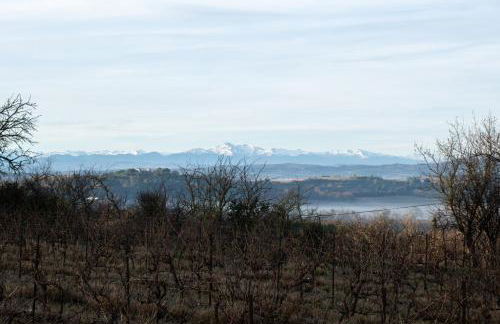 Villa des Cathares - Foto 52