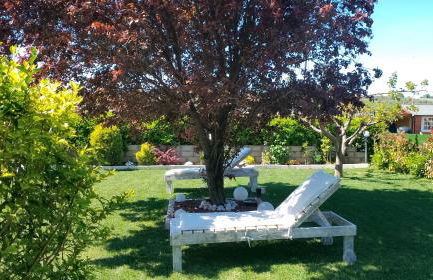 L' acero rosso - Foto 4