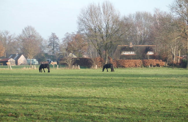 Holiday Home in With Cycling Area - Foto 38