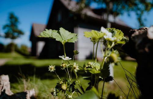 Holiday Homes in Torfhaus Harzresort, Torfhaus - Foto 126