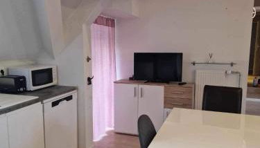 Ferienwohnungen Löwe - Foto 4