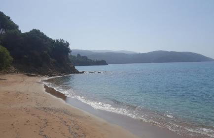 Alexis Studios - Foto 17