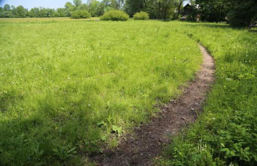 Gospodarstwo Agroturystyczne Stary Młyn Wilczkowice - Foto 38