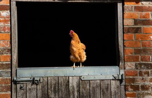 The Farm at Avebury - Foto 27