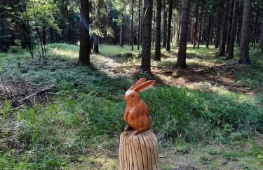 Ferienwohnung Splitek - Foto 18