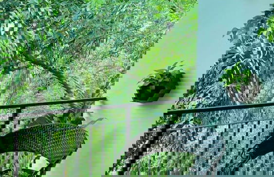 Cozy 1BR in Candolim - Walking Distance to Beach - Photo 17