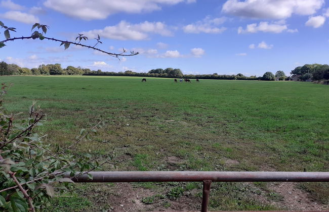 Glamping in Wiltshire the Green Knoll is a Charm - Foto 22