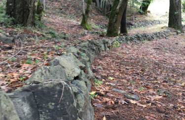 Avenue of the Giants Caraway Cottage (#3) - Foto 26