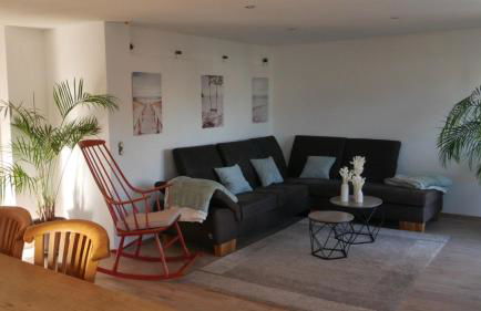 Großer Elefant - Foto 4