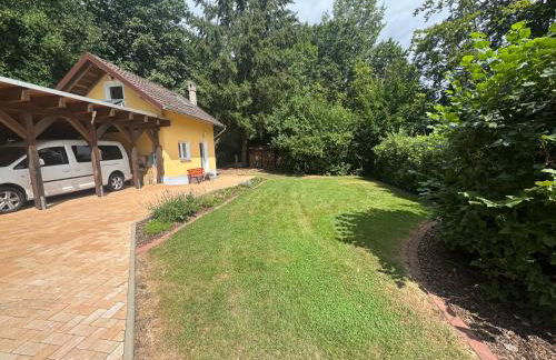 Siebenschläfer - Photo 26