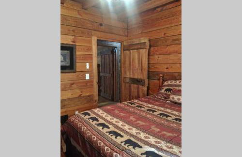 Hoot Nanny's Rustic Cabin on Mossy Creek - Foto 17