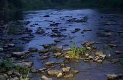 DOMEK LETNISKOWY MYSCÓWKA - Foto 40