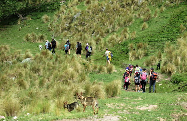 Ruta privada de trekking por Los Gigantes - Foto 6