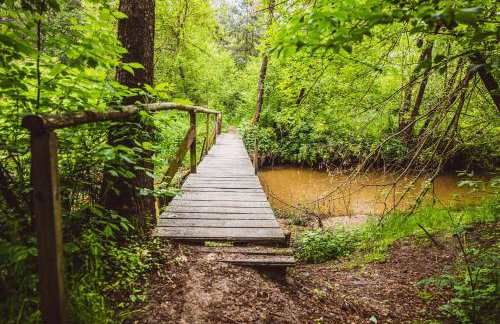 Autumn Nature Cottage Stove Garden by PolandBnB - Foto 41