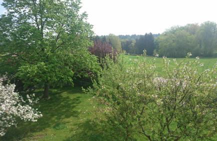 Ferienwohnung Lang - Foto 20