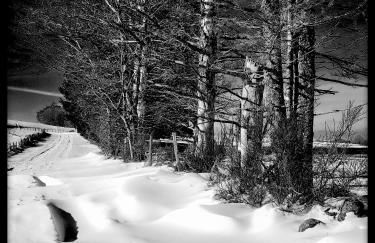APPART HOTEL Place des Jolis Rêves - Foto 23