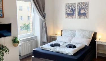 Business Central Apartment Wiesbaden - Foto 4