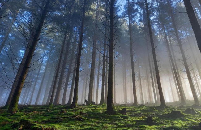 Cottage in Paliseul With Garden - Photo 31