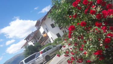 Hofschank Reinalterhof - Foto 5