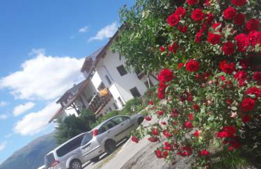 Hofschank Reinalterhof - Foto 5