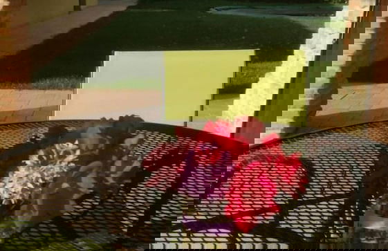 Agriturismo La Vecchia Fonte - Foto 14