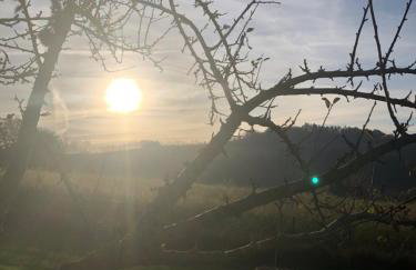 Ferienwohnung Mintbraun - Foto 46