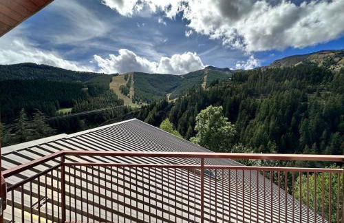 Auron hyper centre-vue panoramique-au pied des pistes - Foto 15