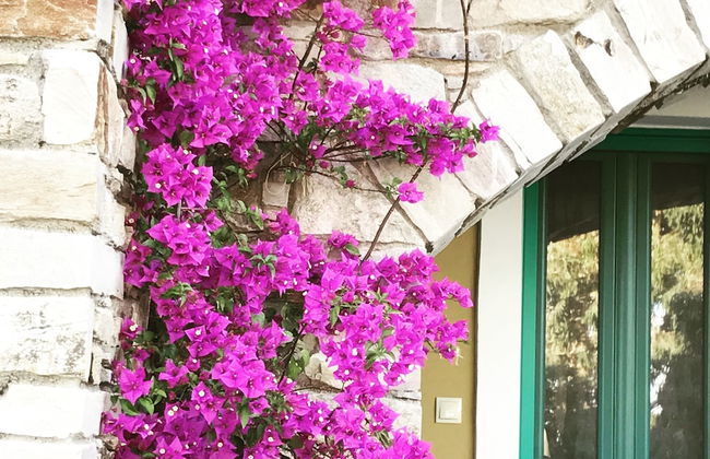 Anemoessa Luxury Villas - Photo 58