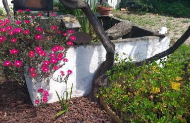 Pateo da Memória-Casa do Artesão - Foto 14